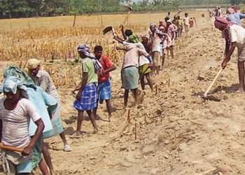 Representational Image for MGNREGS