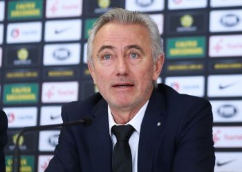 Bert van Marwijk