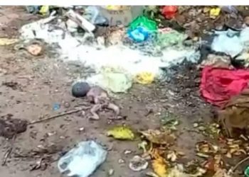 Body of a newborn baby girl found