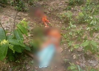 Woman killed by tusker