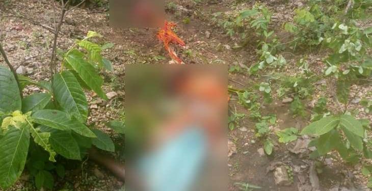 Woman killed by tusker
