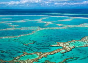 Great Barrier Reef, Australia