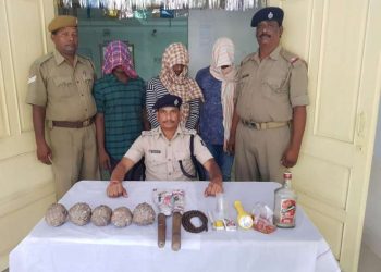 Burglary attempt foiled