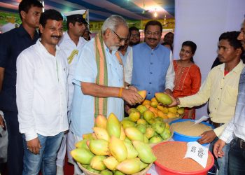 Governor Ganeshi Lal admiring mangoes on display at the second edition of State Level Mango Festival-cum-Exhibition 2018, Friday OP PHOTO