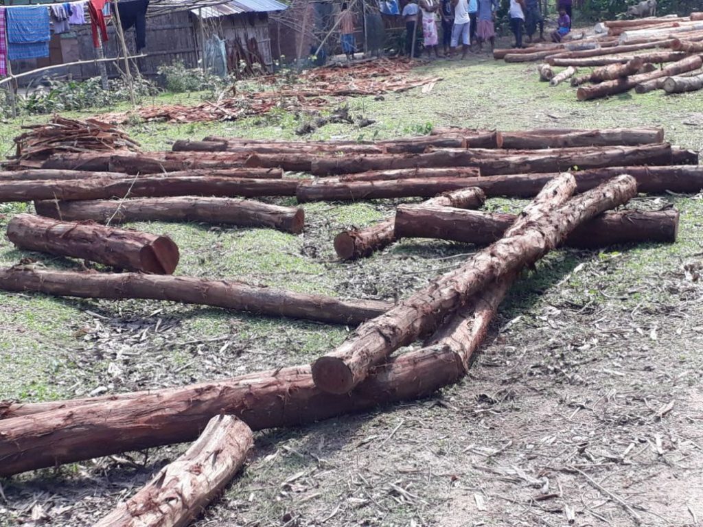 Odisha: Illegal sawmills operate unabated in Khurda district