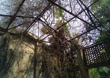 Sugar mill in Jajpur
