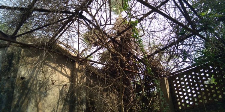 Sugar mill in Jajpur