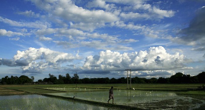 A good monsoon certainly reduces the misery that a farm family has to undergo at times of drought, but the buoyancy that a normal monsoon brings to the industry, for example, has never been witnessed in agriculture