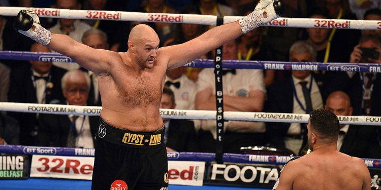 Tyson Fury (L) ended his exile with an untroubled win over Sefer Seferi at Manchester, Saturday