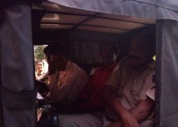 Rape accused arrested