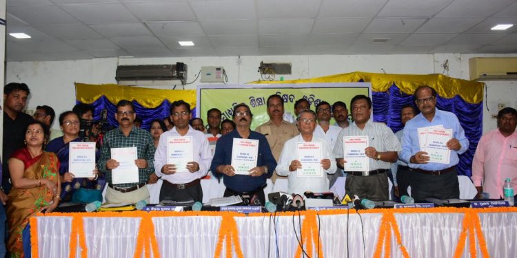 CHSE plus two result declared