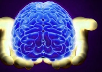 spiritual part of human brain