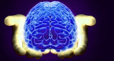 spiritual part of human brain