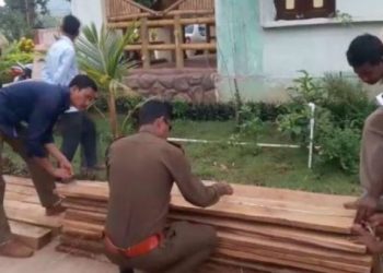Timber seized