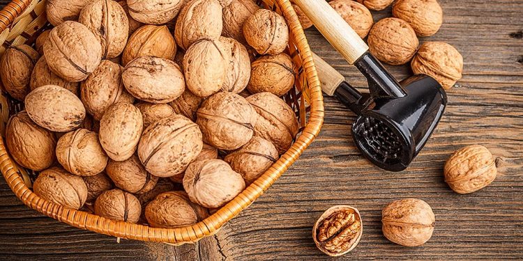 walnuts-odisha