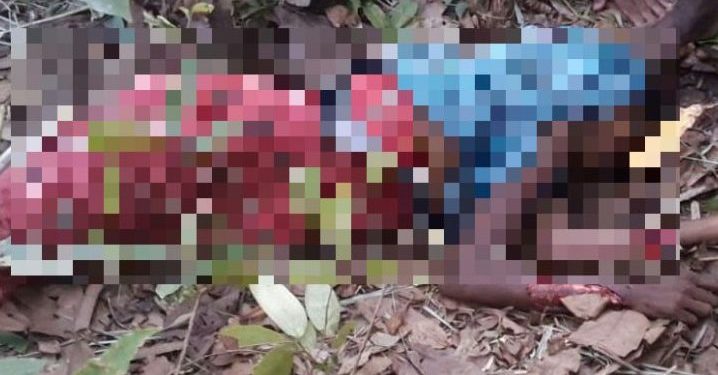Woman killed in elephant attack