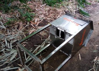 The shrine donation box dumped near a bush