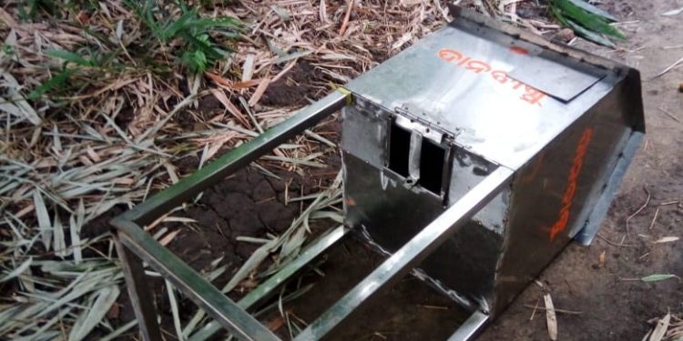 The shrine donation box dumped near a bush