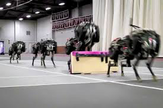 Cheetah robot
