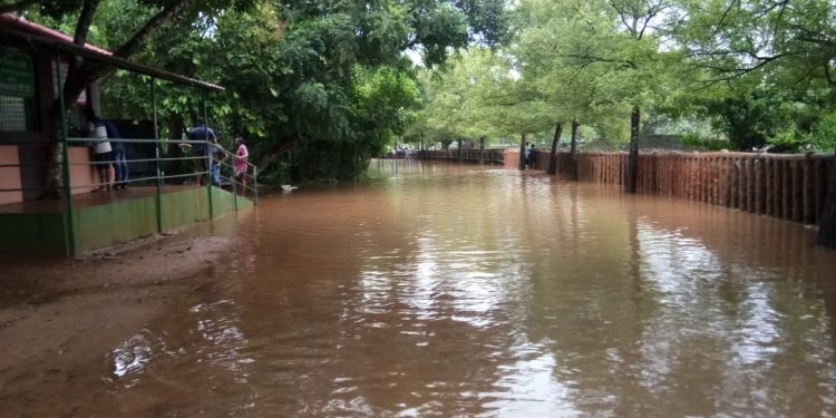 File photo of waterlogging inside Nandankanan