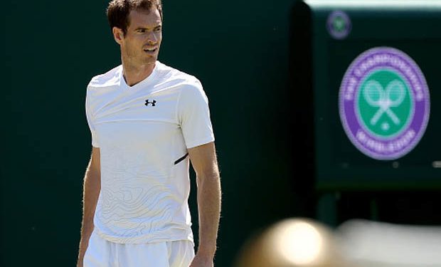 Andy Murray pulls out of Wimbledon Open
