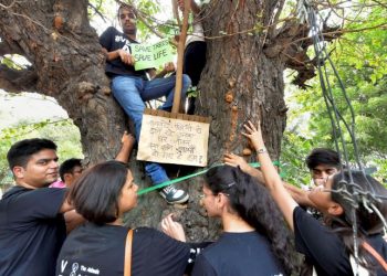 New Delhi: Activists from various environmental organisations symbolically hug a tree with the messages against cutting of trees in Nauroji Nagar area, in New Delhi on Sunday evening, June 24, 2018. (PTI Photo/Kamal Kishore) (PTI6_24_2018_000141B)