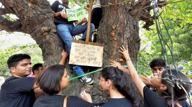 New Delhi: Activists from various environmental organisations symbolically hug a tree with the messages against cutting of trees in Nauroji Nagar area, in New Delhi on Sunday evening, June 24, 2018. (PTI Photo/Kamal Kishore) (PTI6_24_2018_000141B)
