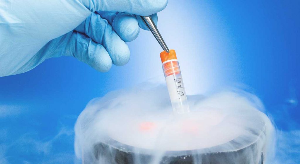 women freezing eggs Odisha