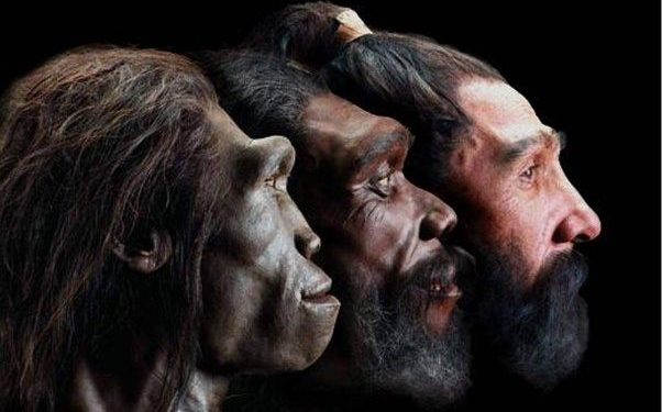 primitive humans Homo Erectus