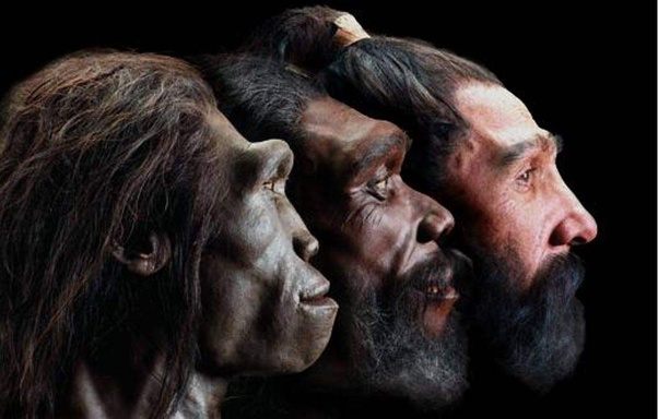 primitive humans Homo Erectus
