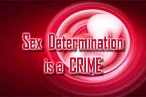 sex determination