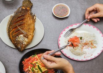 benefits of fish during the pregnancy