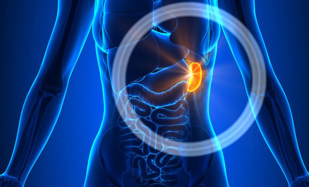 biomarker-kidney disease