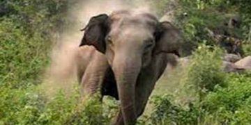Jumbo attack