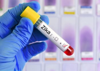 Zika virus