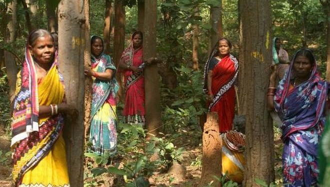 Cong, BJP seek probe into
tree-felling for brewery unit