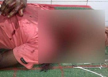 Farmer critical in boar attack