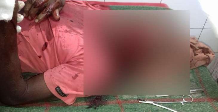 Farmer critical in boar attack