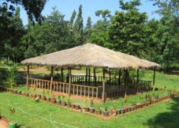 Forest dept to build ‘oxygen parks’ in Silk City