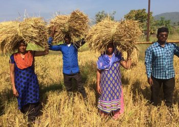 Maoist becomes successful farmer