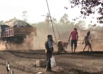 Pollution kills 87, logistics firm denies charge