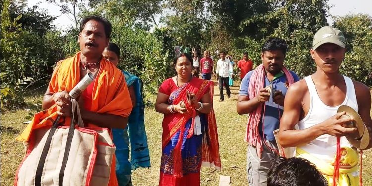 Tree felling over beer unit Locals plant saplings as protest continues