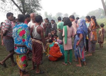 Tusker batters farmer to death in Dhenkanal