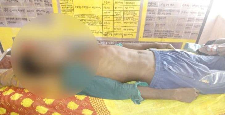 Youth ends life by consuming toxic fruit