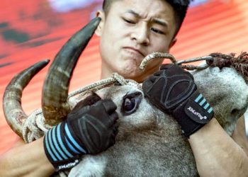 Fighters mix kung fu and bullfighting in China