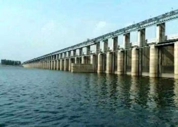 Mahanadi river