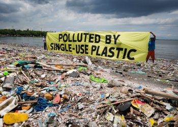 Endangering-Plastic-pollution-threat-The-Hazard