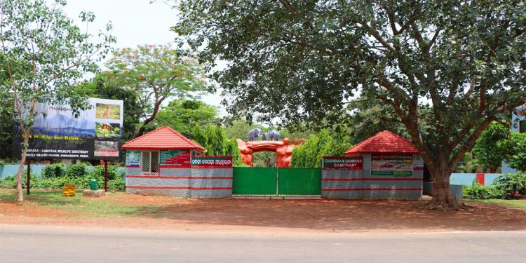 Jungle Safari in Chandaka