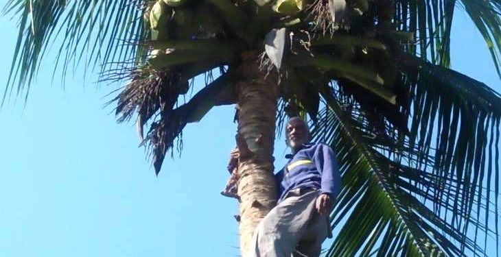 Suresh Chandra Tripathy of Nayagarah district is a professional clamber