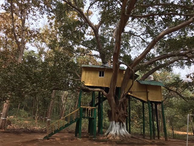 Tree houses of Kaliamba